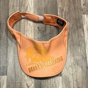 Harley Davidson Visor
